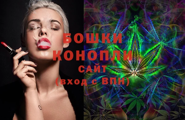 сатива Волосово