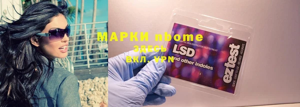сатива Волосово