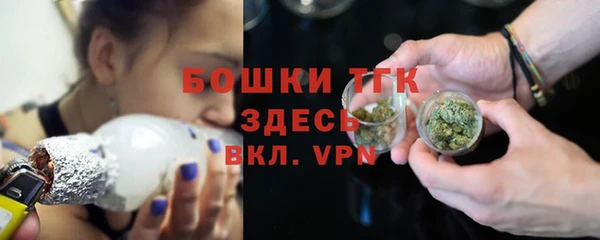 сатива Волосово