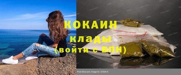 сатива Волосово