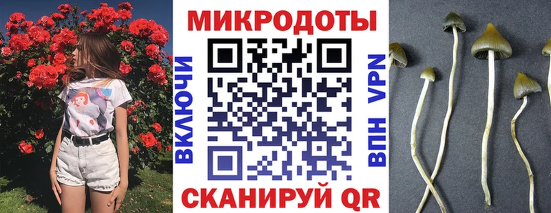 Псилоцибиновые грибы Magic Shrooms  магазин    Вологда 