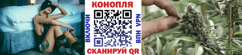Бошки Шишки конопля  продажа наркотиков  Вологда 